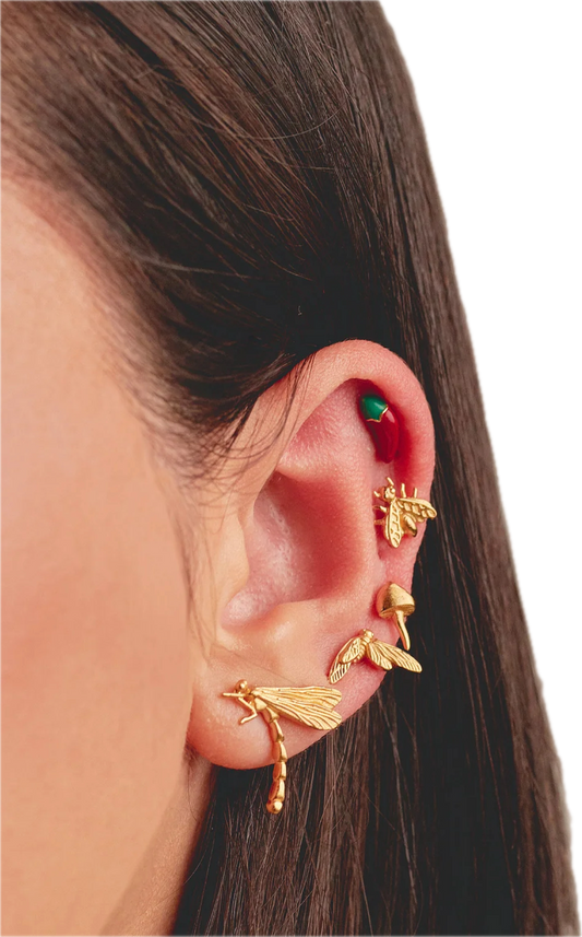 Guaviare Stud Earrings