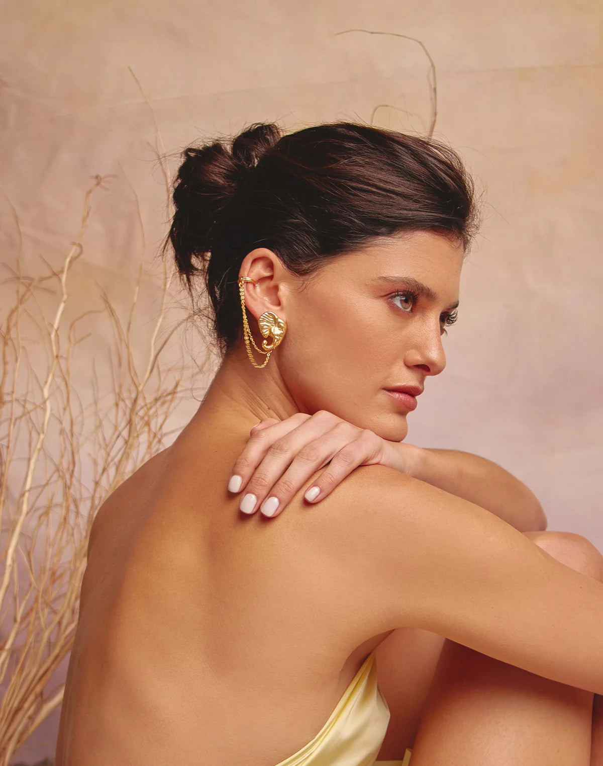 Elefante Dorado with Crawler