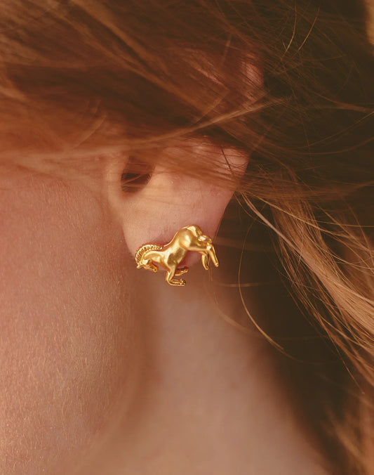 Paso Fino Horse Earrings