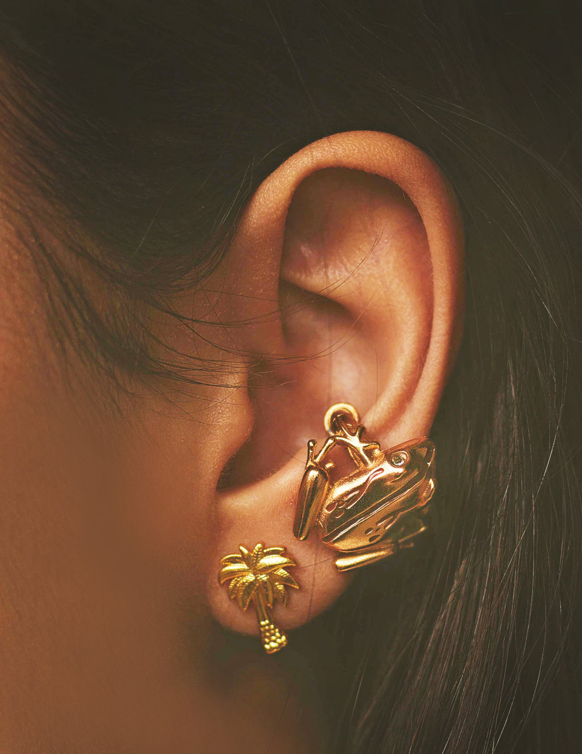 Ear Cuffs