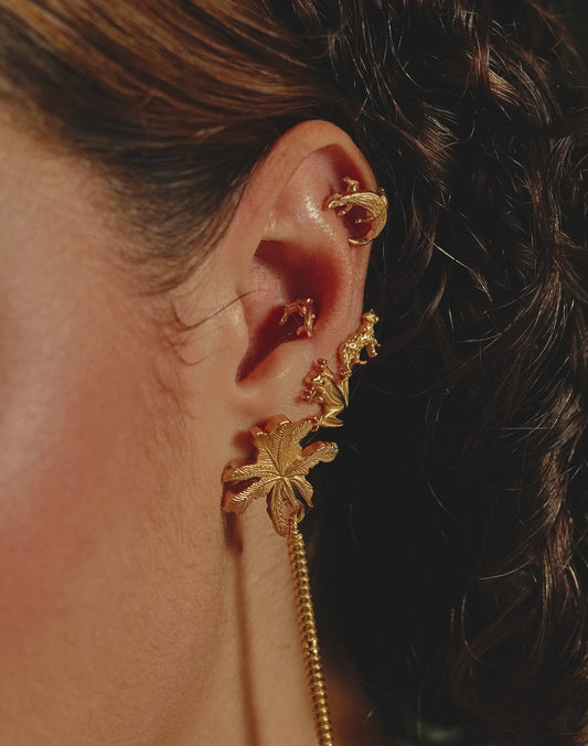 Delfín del Amazonas Earrings