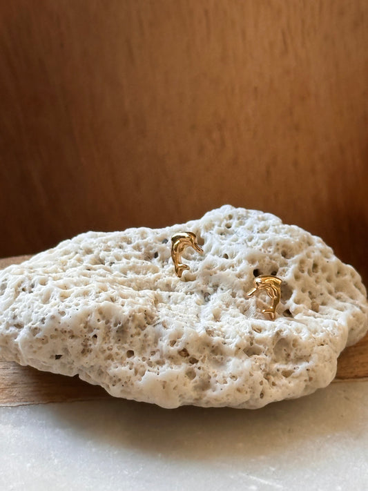 Delfín del Amazonas Earrings