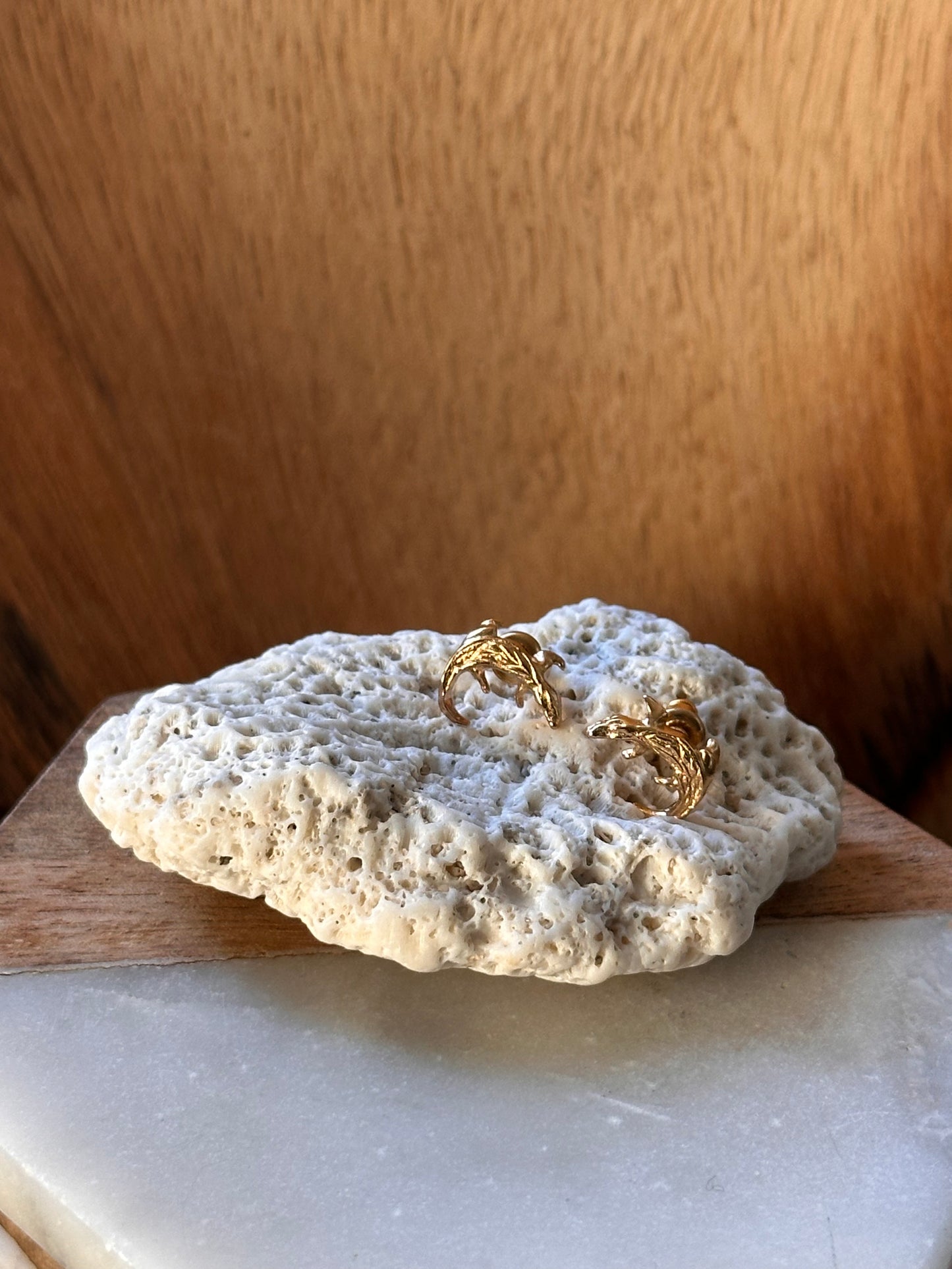 Caimán del Orinoco Stud Earrings