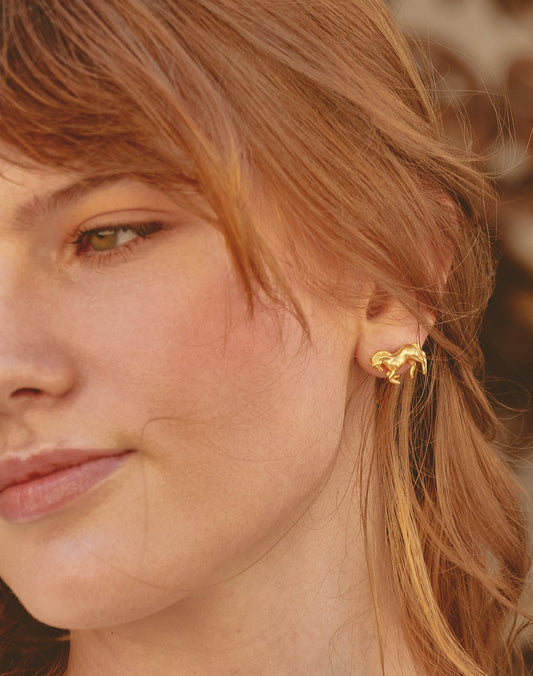 Paso Fino Horse Earrings
