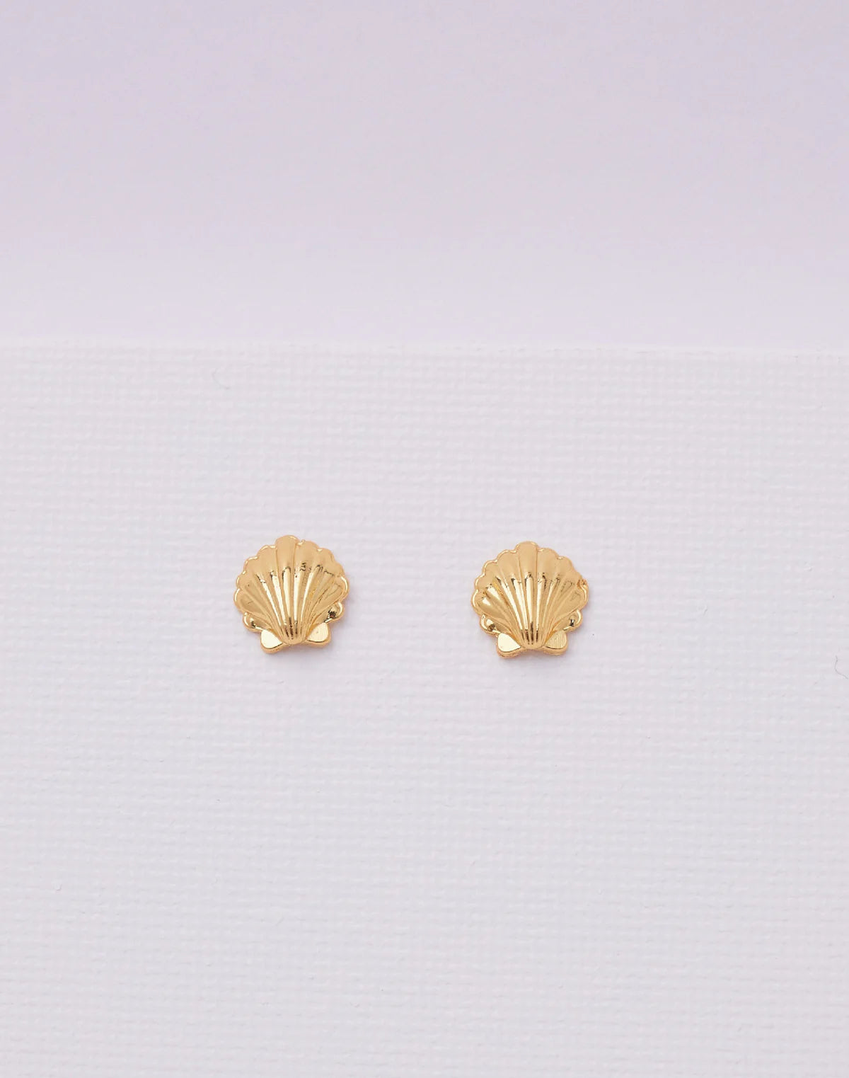 Seashell Studs by Entrelazos
