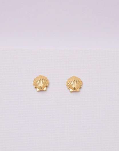 Seashell Studs by Entrelazos