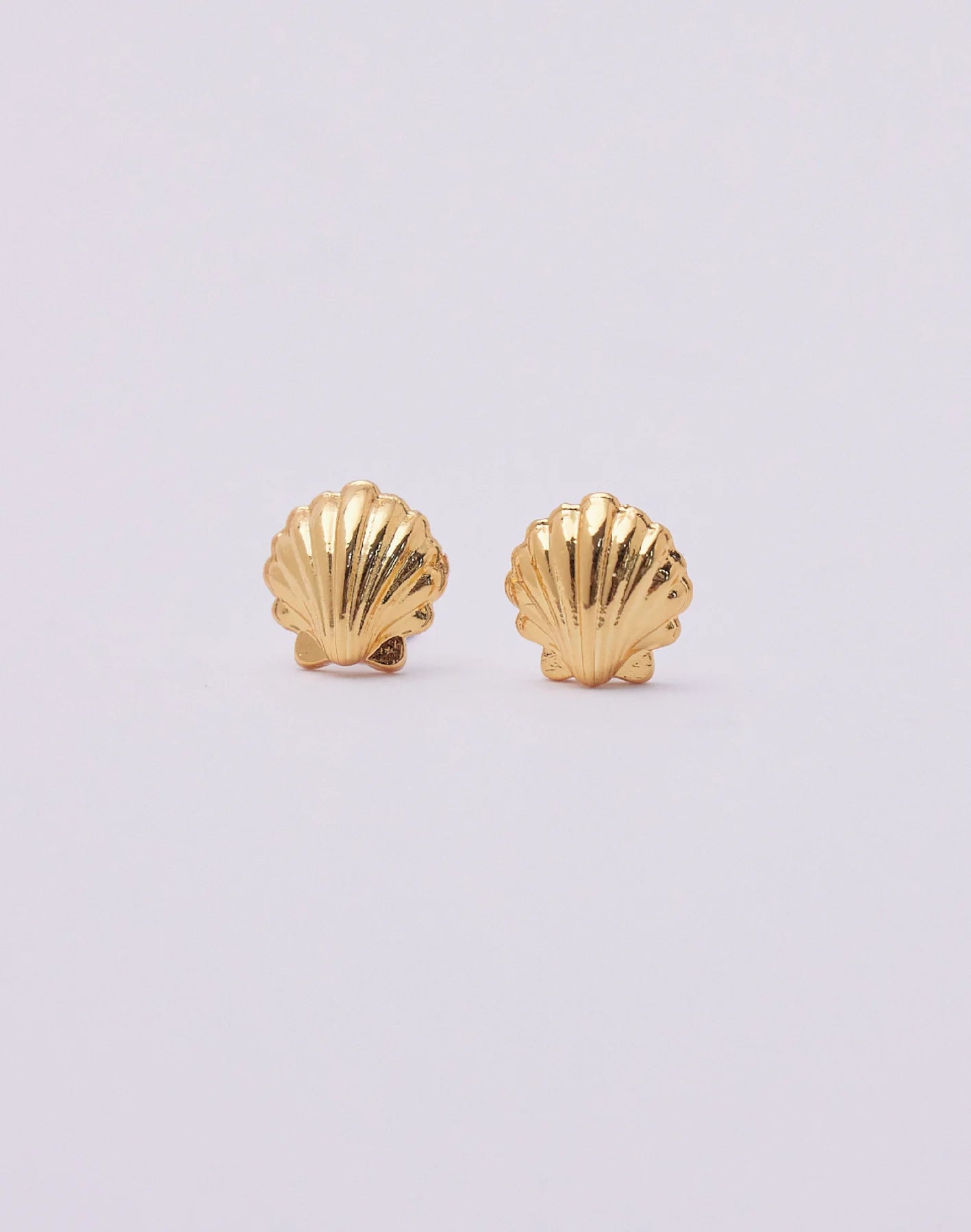 Seashell Studs by Entrelazos