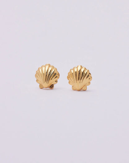 Seashell Studs by Entrelazos
