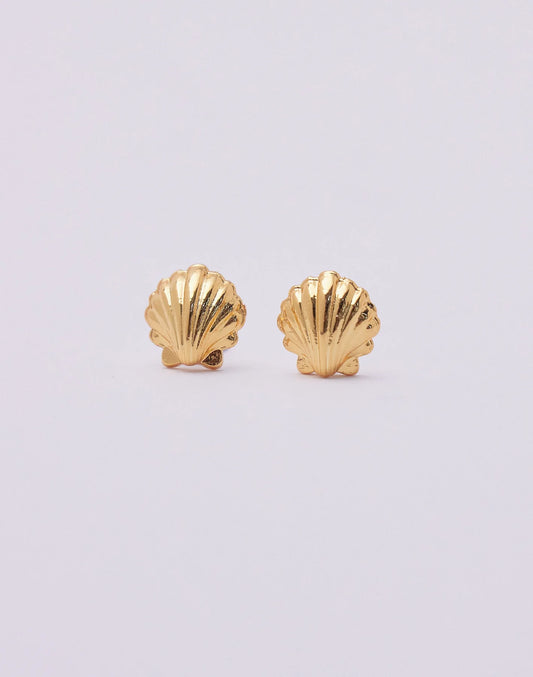 Seashell Studs by Entrelazos