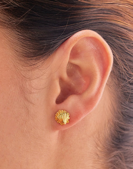 Seashell Studs by Entrelazos