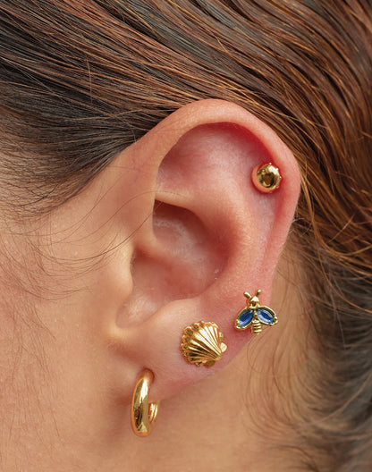 Seashell Studs by Entrelazos