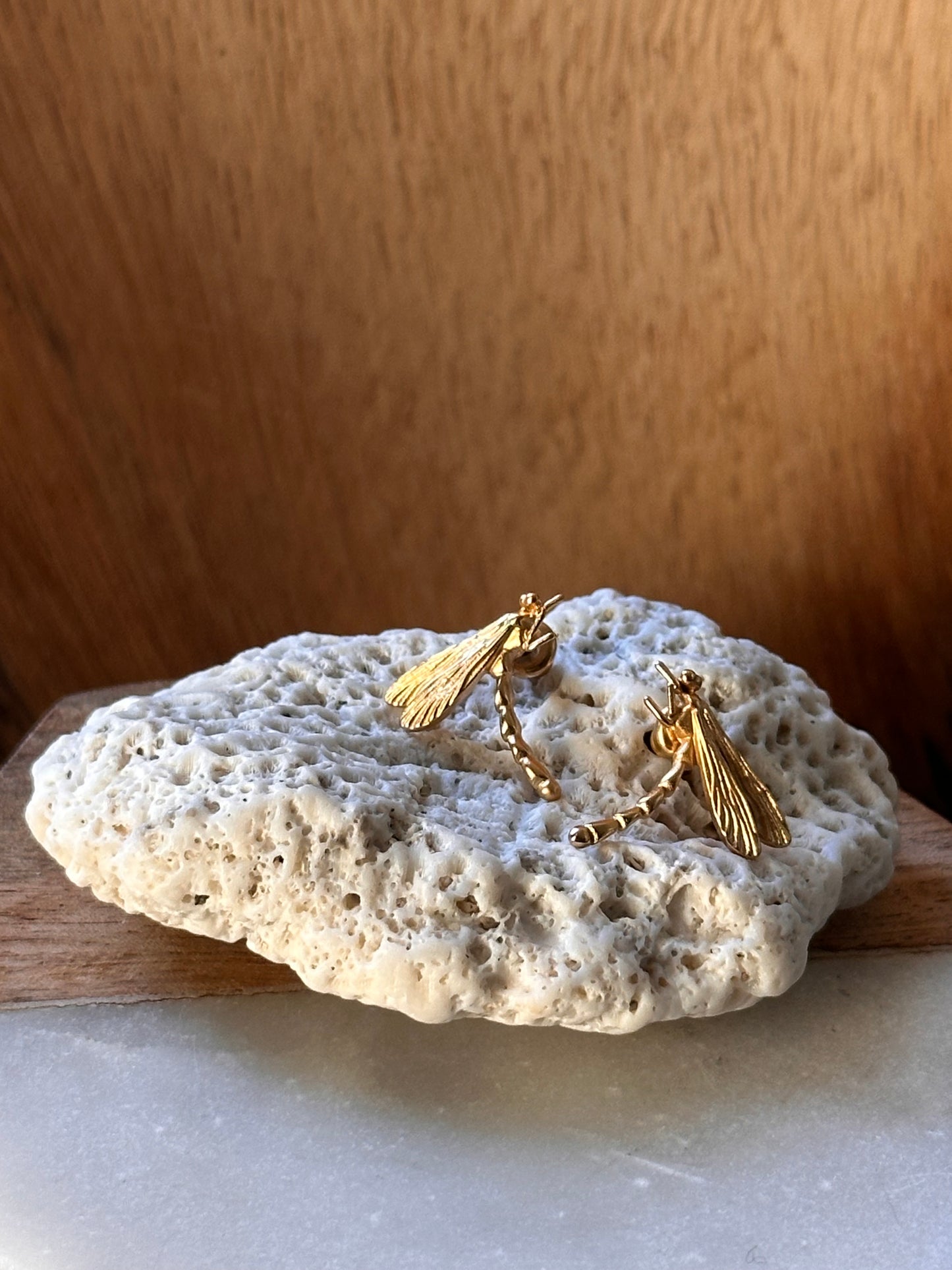 Libélula del Guainía Stud Earrings