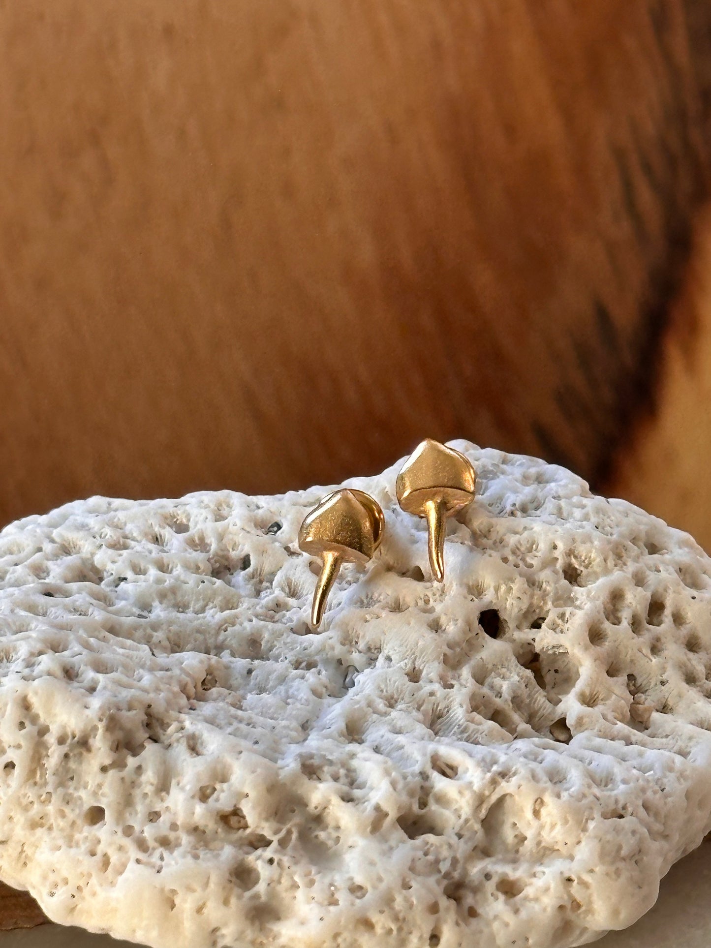 Honguito de Cocora Stud Earrings