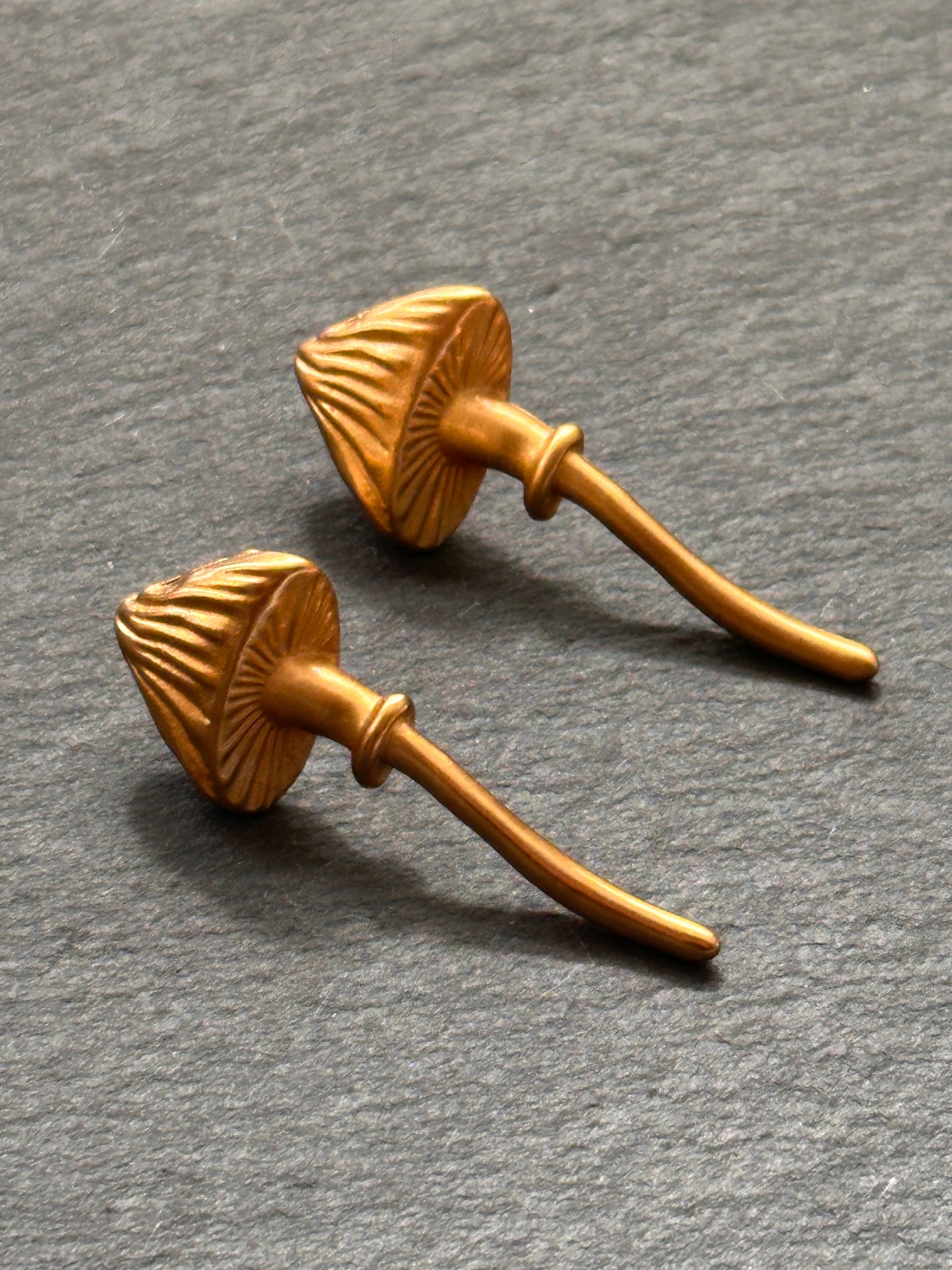 Golden Teacher Earrings