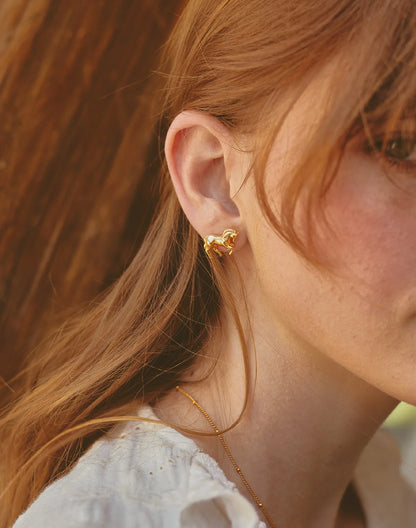Paso Fino Horse Earrings