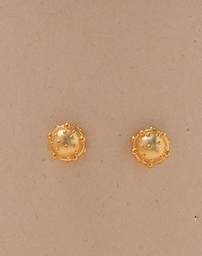 Vaquita del Valle Necklace and Studs Set