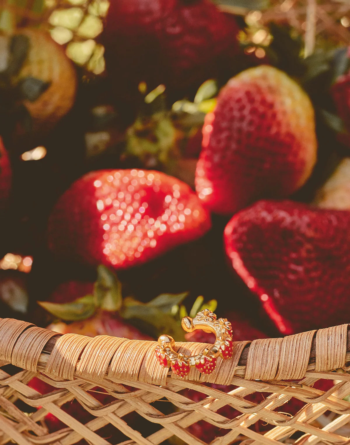 Huerto Ear Party - Hoops and 2 Cuffs