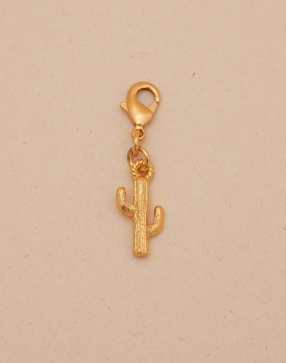 Mini Charm Cactus by Entrelazos