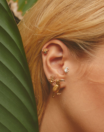 Entrelazos Botánico Stud Set - 5 Pair Nature Collection