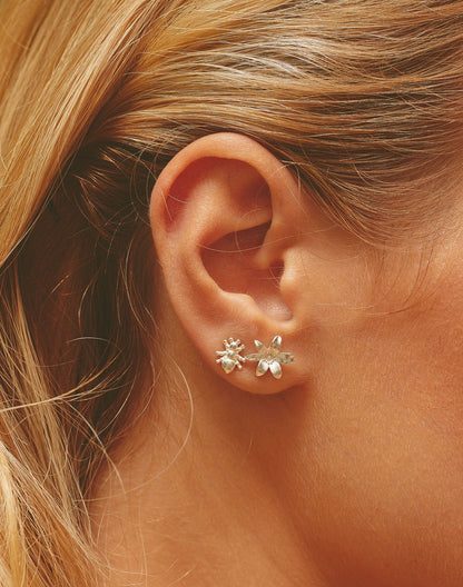 Entrelazos Botánico Stud Set - 5 Pair Nature Collection