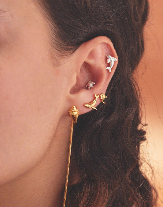 Caribe 5 Earrings Set