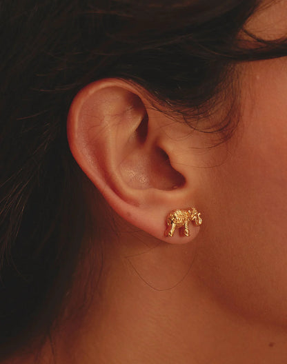 Inner Temple Set of 5 Studs by Entrelazos